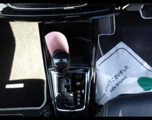 Toyota Corolla Fielder 2018