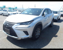 Lexus NX 2018