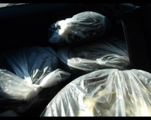 Toyota Corolla Fielder 2019