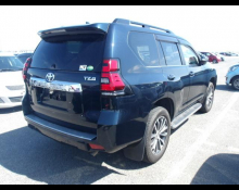Toyota Land Cruiser Prado 2019