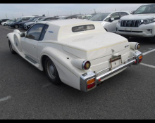 Mitsuoka Le Seyde 1991