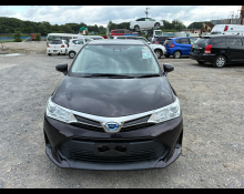 Toyota Corolla Fielder 2019