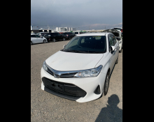 Toyota Corolla Axio 2019