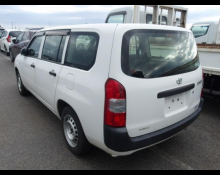 Toyota Succeed Wagon 2019
