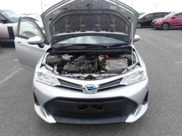 Toyota Corolla Fielder 2019