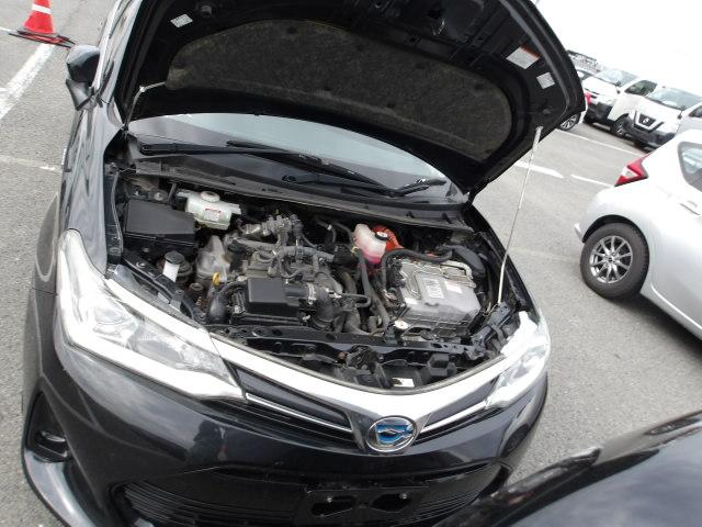Toyota Corolla Fielder 2019