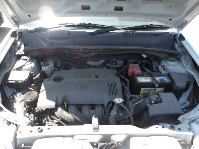 Toyota Succeed Wagon 2019